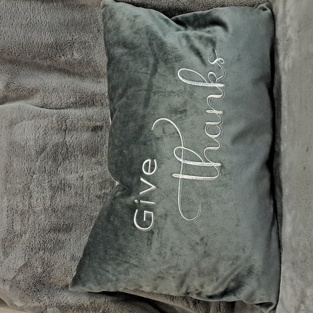0711 Rodeo Home "Give Thanks" Decorative Pillow